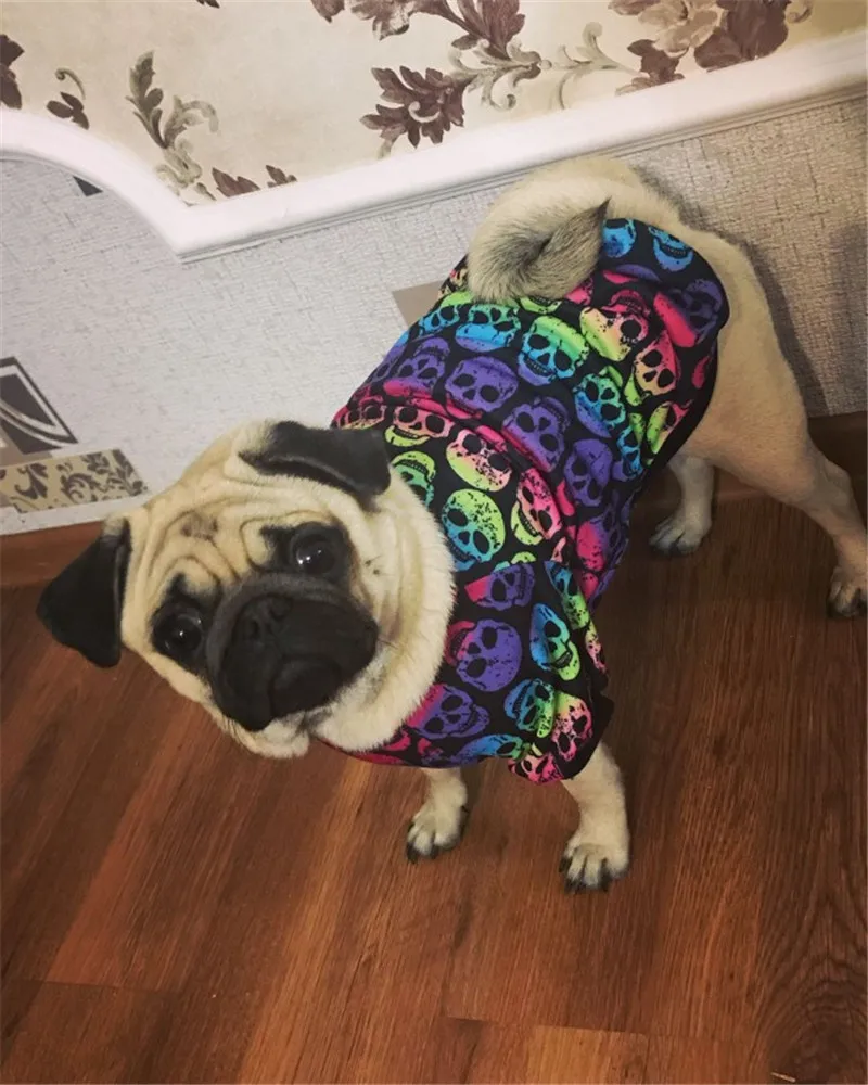 Skull Dog Clothes Autumn Winter Dog Clothes for Small Dog Pet Coat Jacket Outfit shih tzu Yorkies  Puppy Chihuahua Quilted Dog Clothing  21