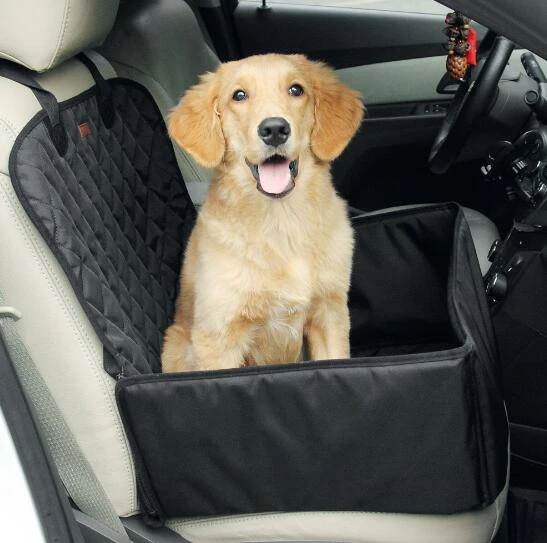 dog car travel accessories