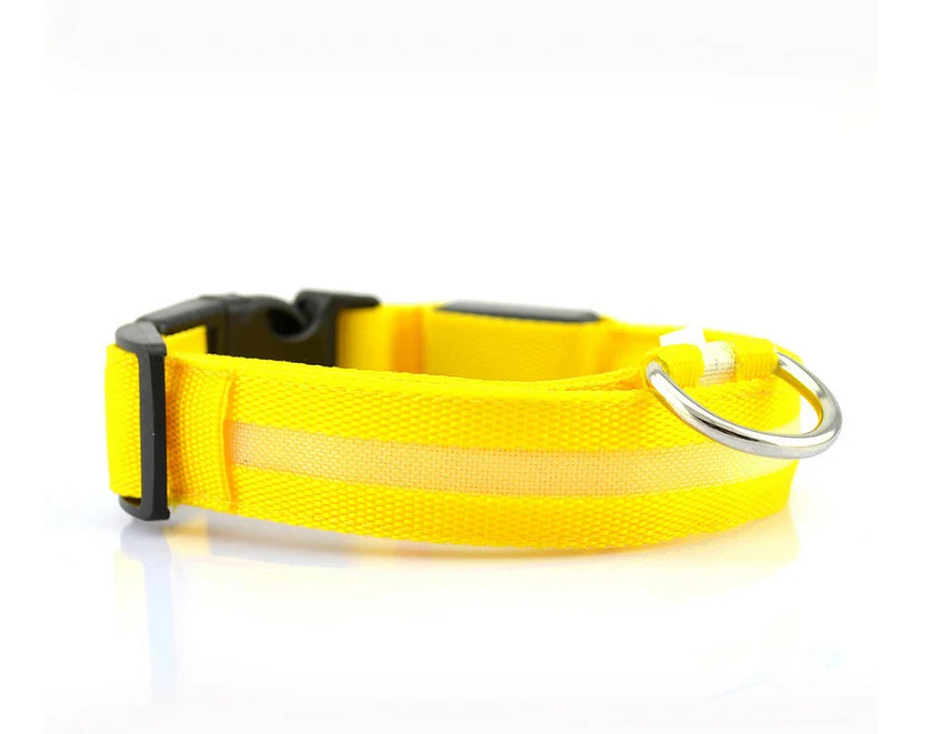 dog collar 1 (25)