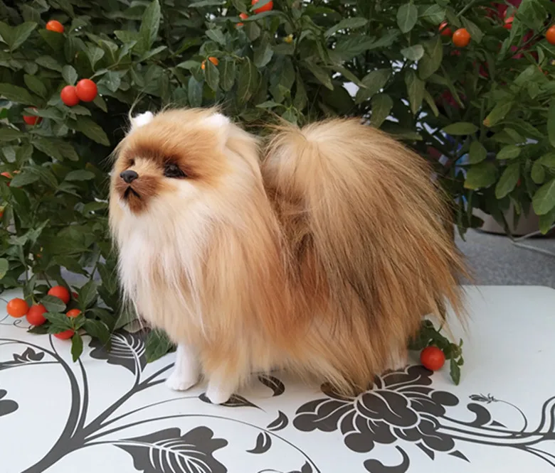 Cerca de 23x20.5x9cm Nova Simulação Brinquedo Polietileno & Peles Cor Natural Pomeranian Boneca Presente 1185 Cão 4 Nova simulação cão brinquedo polietileno & peles
