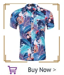 hawaiian_04