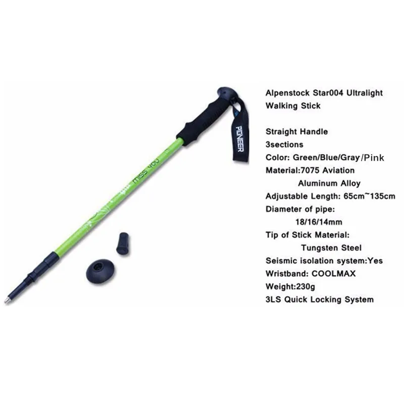 TP1005 02 Nordic Walk Cane