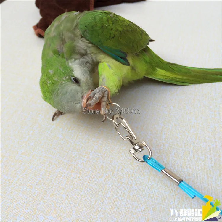 

Flexible Flight Training Rope/Flying Leash, for Bird Parrot Pet, Light Weight & Strong, Core Wire Enhancement