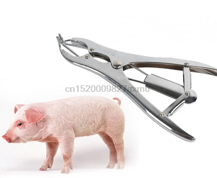 80PCS The new elastic expansion clamp Castrated animals tails Rubber