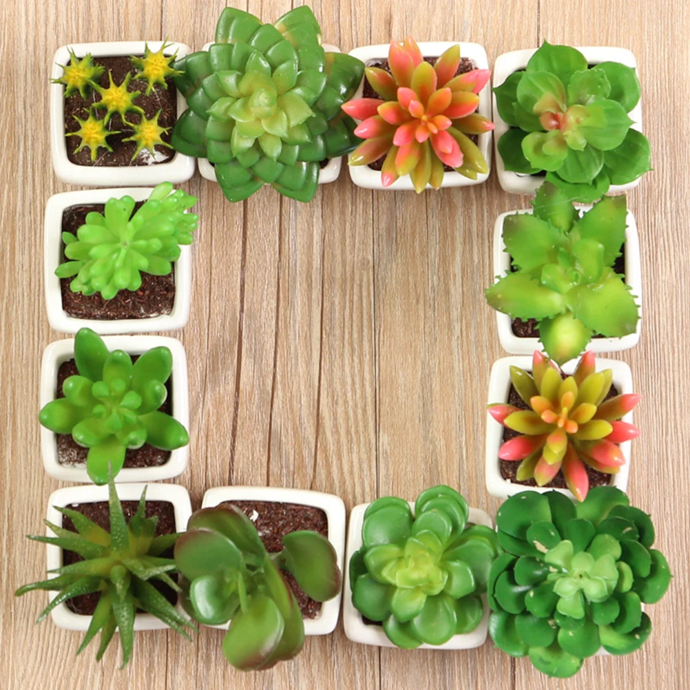 

12Ppcs/Set Decorative Faux Succulent Artificial Fake Simulation Plants In Square White Ceramic Pots (Assorted Pattern)