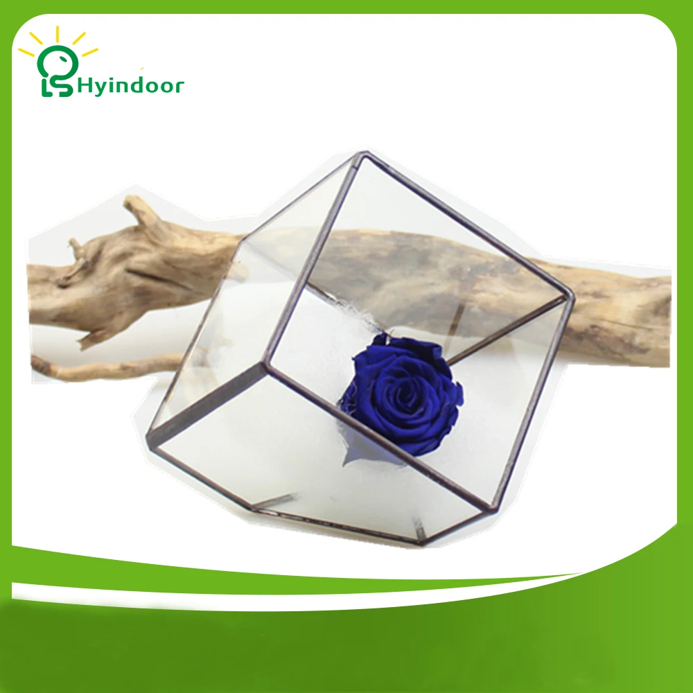 Garden Supplies Pots Irregular Cube Shape Tabletop Flower Pot Clear Glass Metal Geometric
