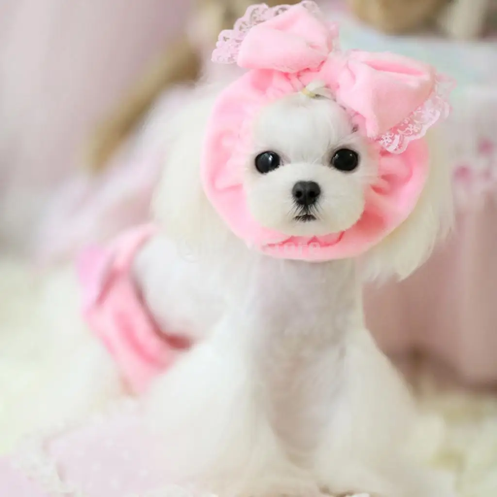 

New Arrivals 2015 Pet Headband with Bowknot Pet Dog Accessories Free Shipping