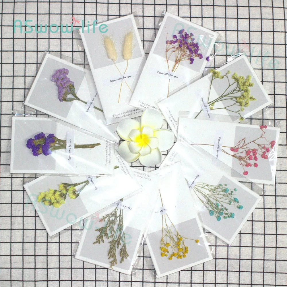 

Creative Dried Flower Birthday Card Mother's Day Card Universal Blessing Card Birthday Card DIY Small Gift