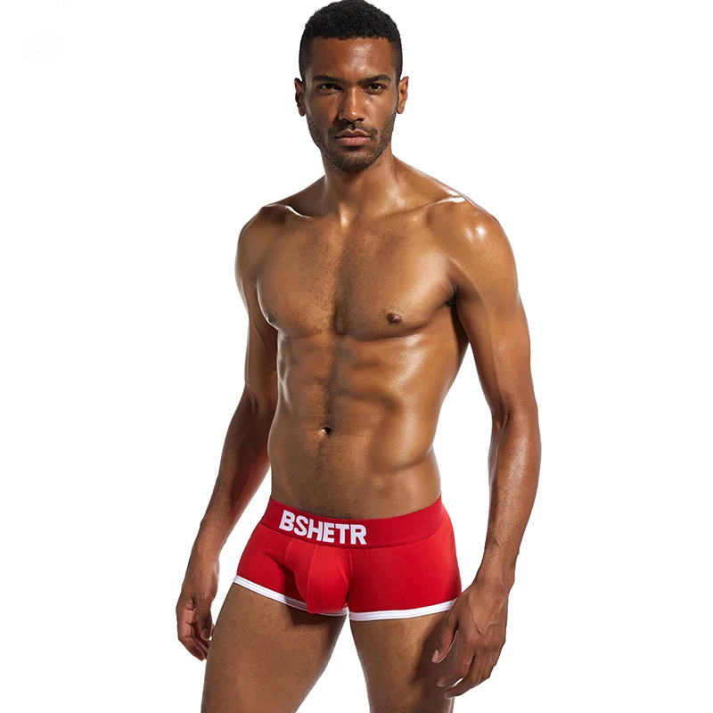 2 Pcs/lot BSHETR Brand Cotton Male Panties Soft Gay Slip Pants
