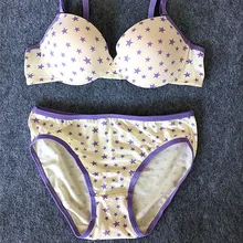 Сексуальный бюстгальтер трусики Комплект чашечки пуш-ап Пуш-ап A B чашки Футболка мягкий бюстгальтер гладкое бесшовное женское нижнее белье H221-2