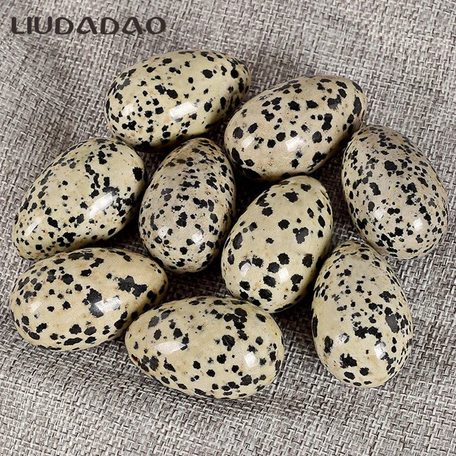 (6)_