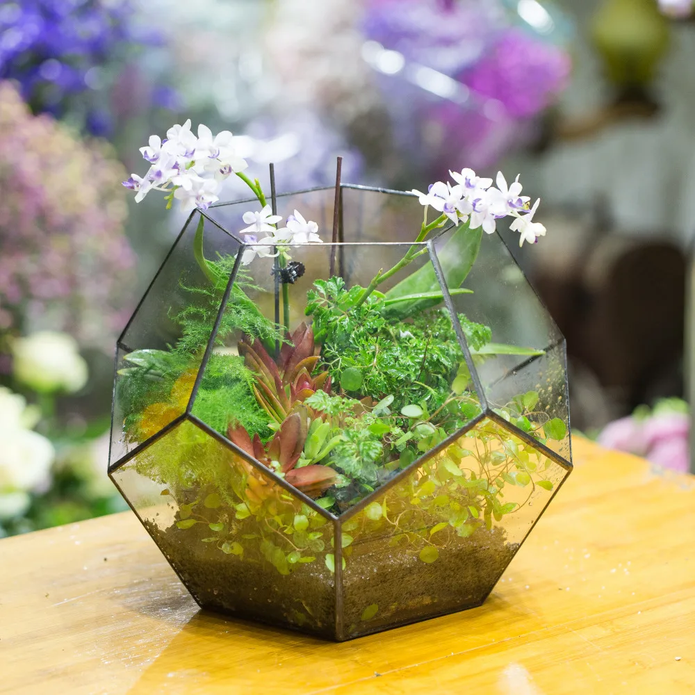 Handmade Bonsai Polyhedron Glass Geometric Terrarium Box Tabletop