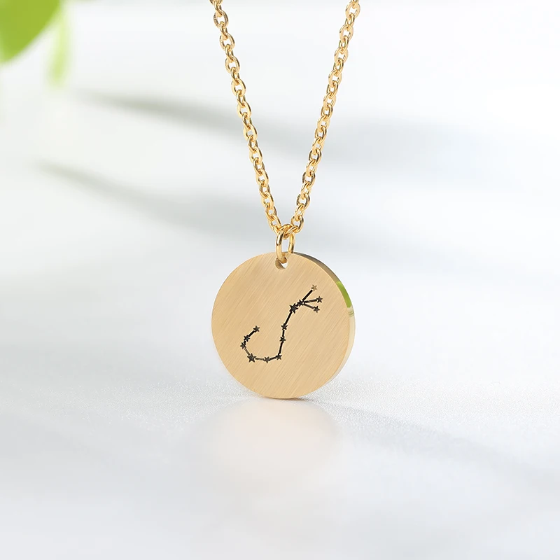 

Stainless Steel Carved Coin Twelve Constellations Lucky Scorpio Charm Sign Necklace Zodiac Long Chain Pendant Necklaces