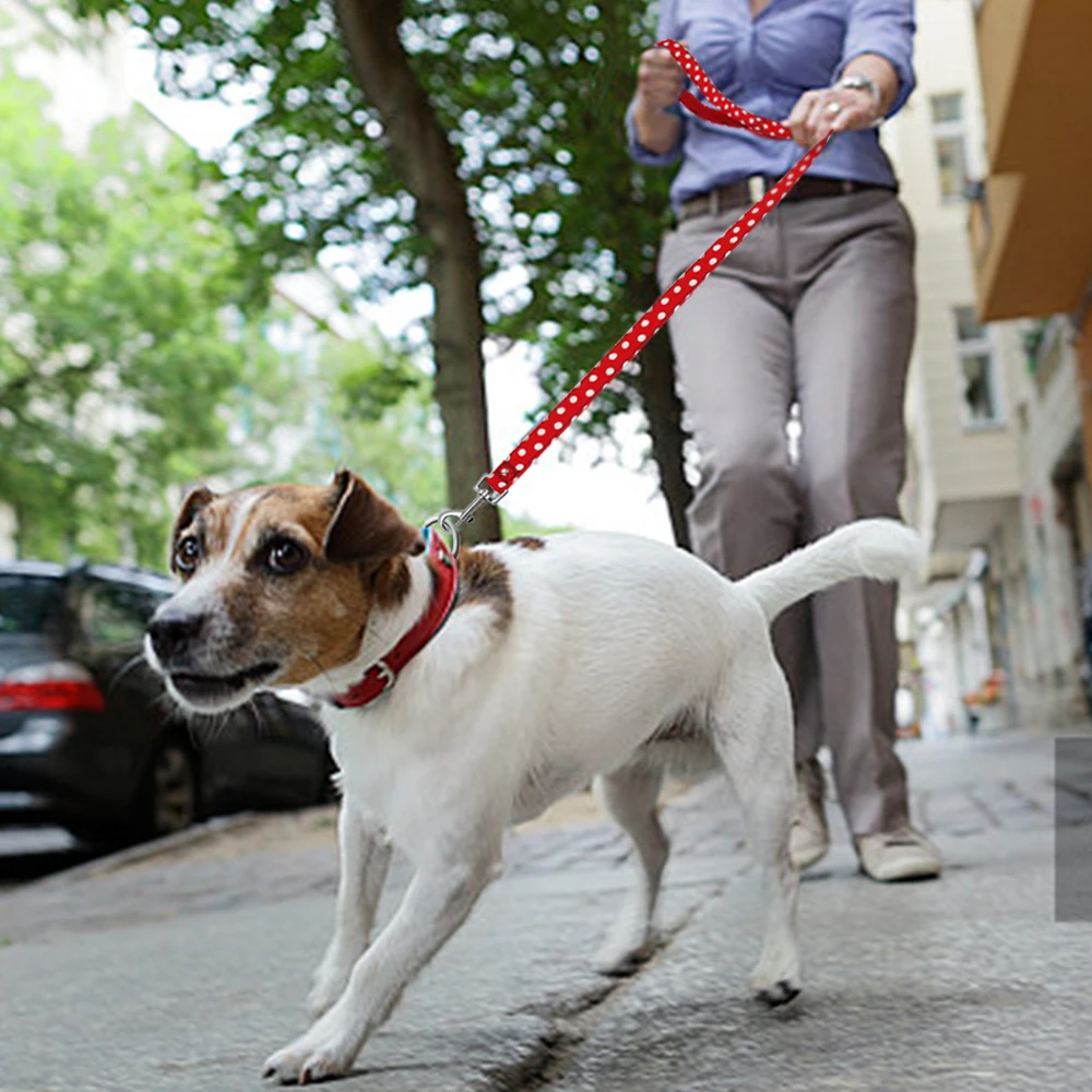 4 фута, собачий поводок в горошек, нейлоновый поводок для домашних животных, поводки для прогулок, поводки для бега, прочный тренировочный пояс, веревка для маленьких и средних собак