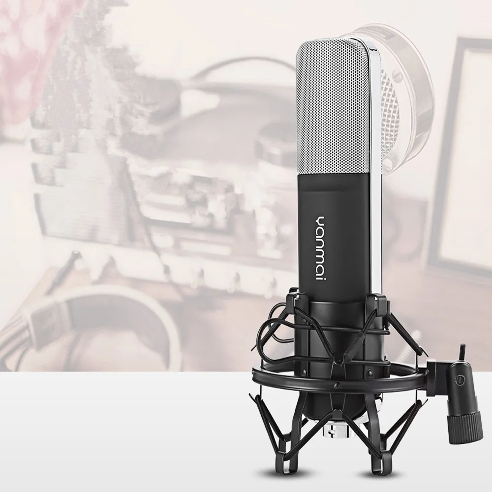 

Yanmai Professional Condenser Microphone Cardioid with Shock Mount for Recording
