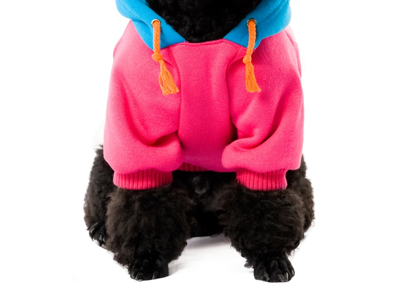 16 yorkshire terrier clothes 