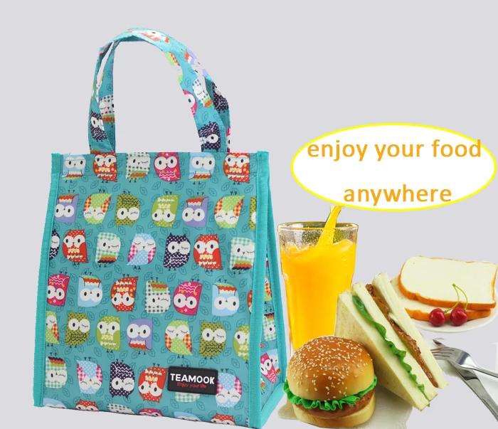 TEAMOOK Оксфордские ткани Переносные сумки для обедов для женщин и мужчин для работы и детей, школьная термо-сумка для пикника, Ланч-бокс, 3 цвета