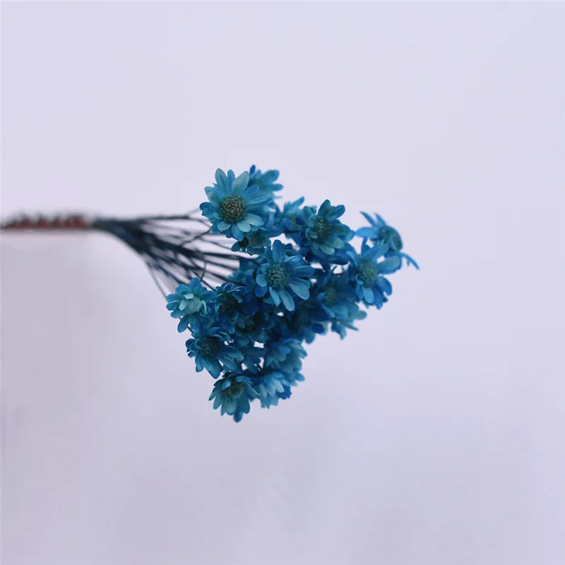 30 шт. милая маленькая Маргаритка Натуральные сушеные цветы декоративные изделия стеклянный глобус наполнитель для силиконовой формы ювелирных изделий diy - Цвет: blue