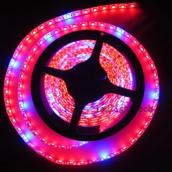 

2x 5M 5050 300 SMD Red Blue 7:1 Plant Growing Hydroponic Aquarium LED Light Waterproof flexible LED strip