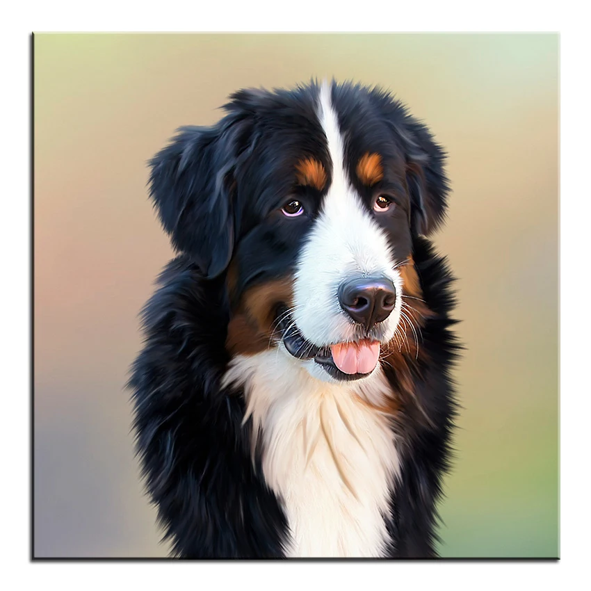 Large-size-Printing-Oil-Painting-bernese-mountain-dog-Wall-painting-POP-Art-Wall-Art-Picture-For