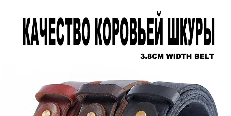 NCK318 (1)