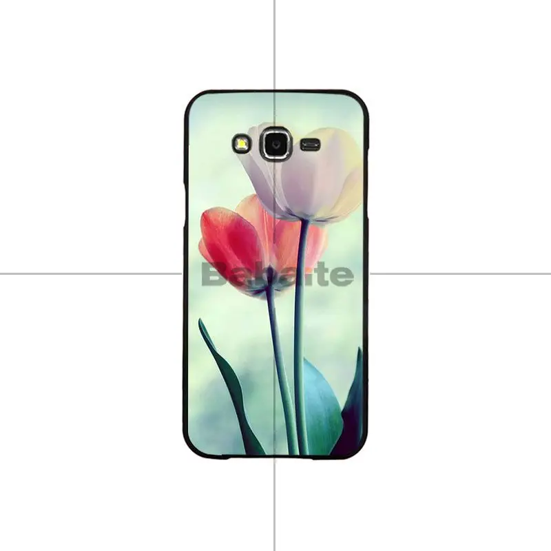 Flower Lotus Tulip