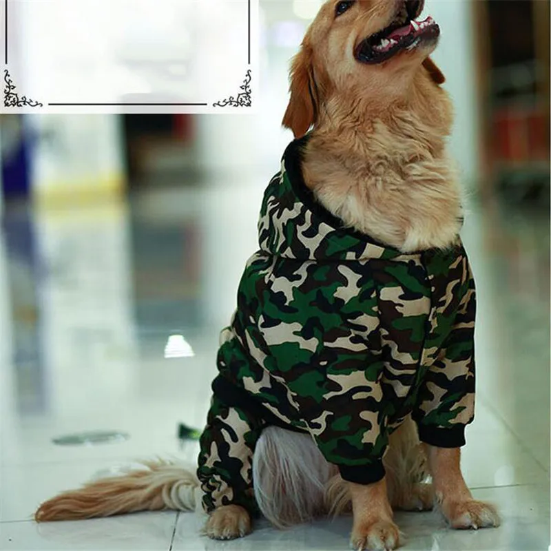 dog clothes (2)