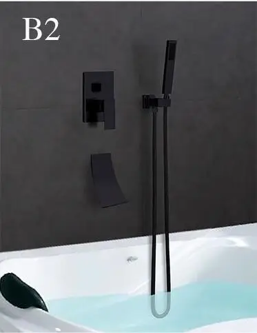 B2