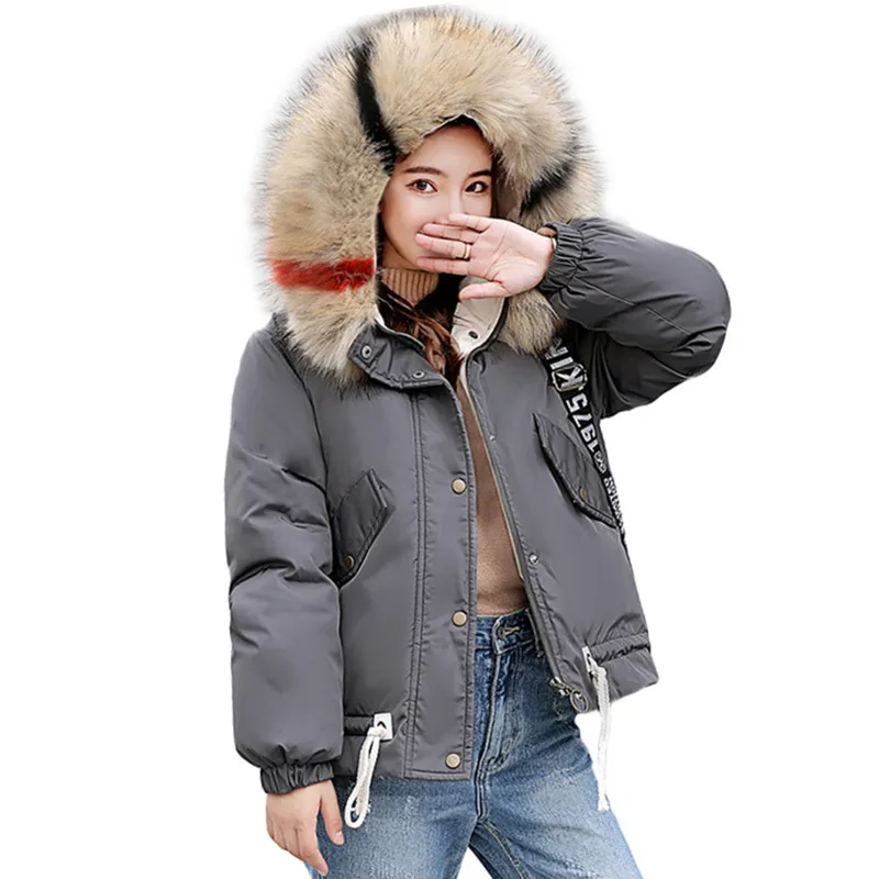 2018 New Fashion Thick Colorful Fur Collar Hooded Down Parkas Winter Jacket Women Coat Female Warm Slim Down Cotton Jacket Coat Coats