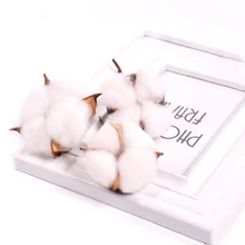 5 шт. искусственный цветок капок хлопок голова для свадьбы Рождество дома украшения для самодельного изготовления венок скрапбук натуральные сухоцветы