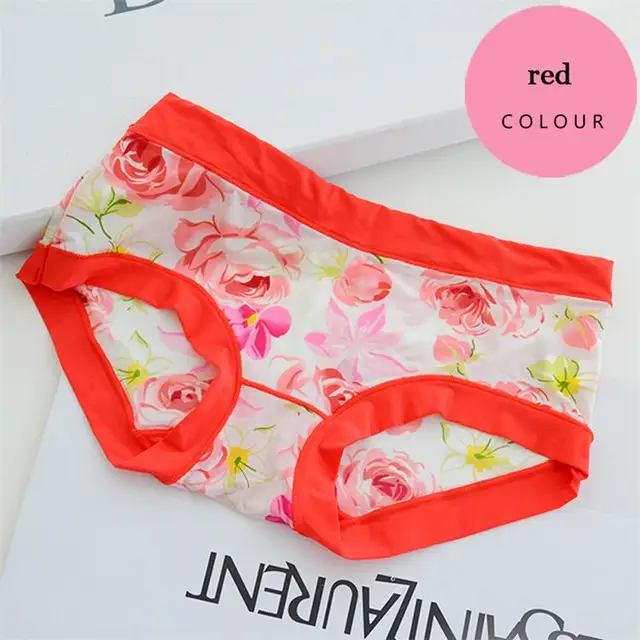 2017 New Underwear women 95 polyester panties ladies seamless sexy