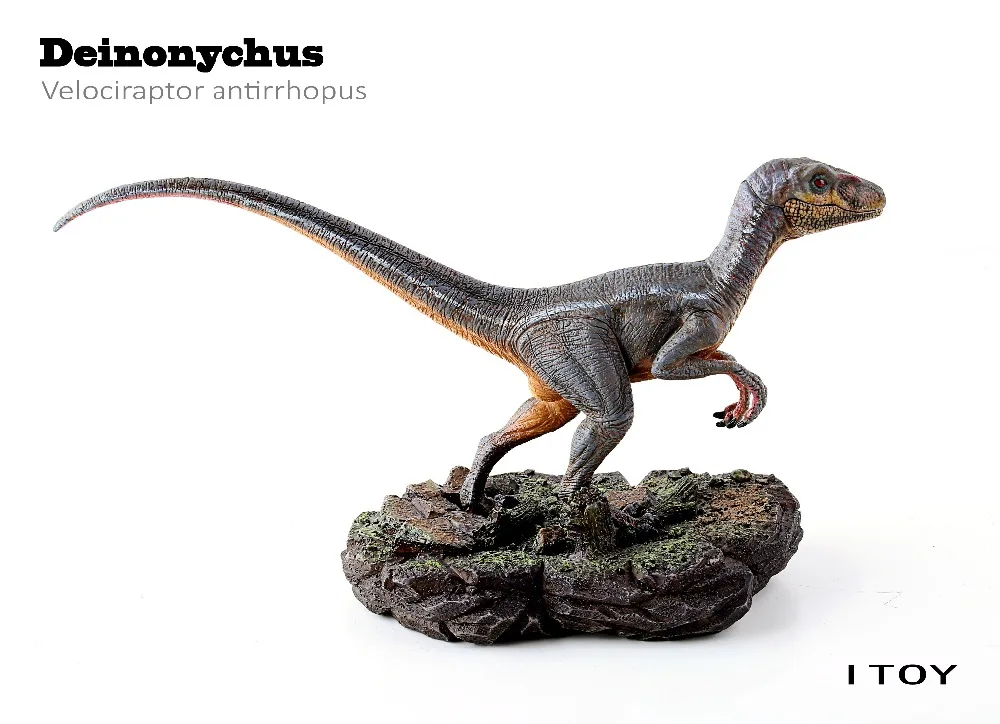 Новинка, 1:18 модель динозавра Юрского периода, велоцираптор антирхопус, древняя биологическая Коллекция игрушек для взрослых