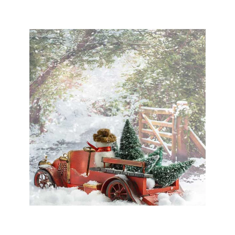 

5X5ft free shipping Christmas backdrops Customized computer Printed vinyl photography background for photo studio st-365