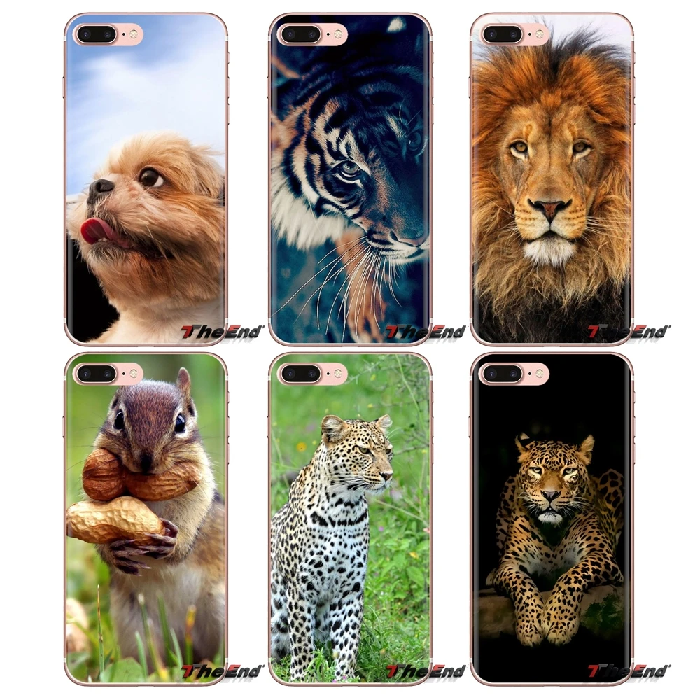 Transparent Soft Shell Covers Animals Wallpaper For iPod Touch Apple iPhone 4 4S 5 5S SE 5C 6 6S 7 8 X XR XS Plus MAX |