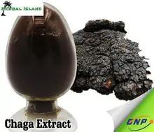 Siberian Chaga Mushroom 30 1 Extract Powder 500g Organic Polyose Extract