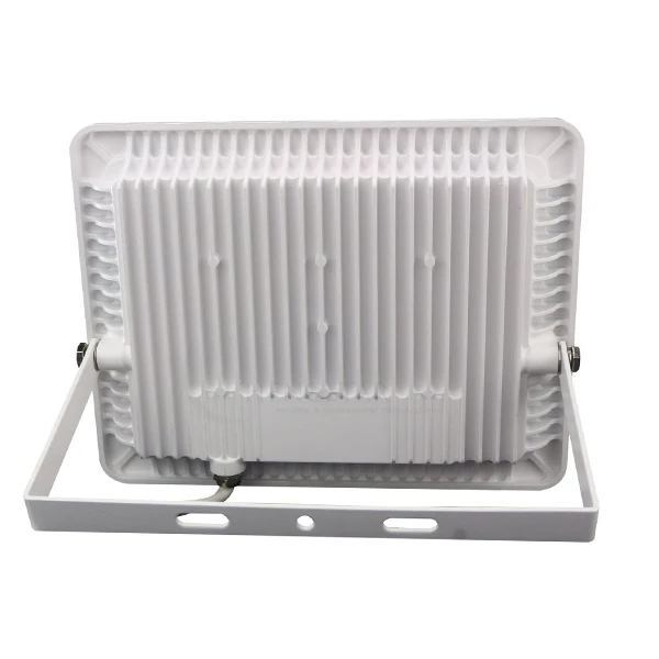 100W BK 110V 2