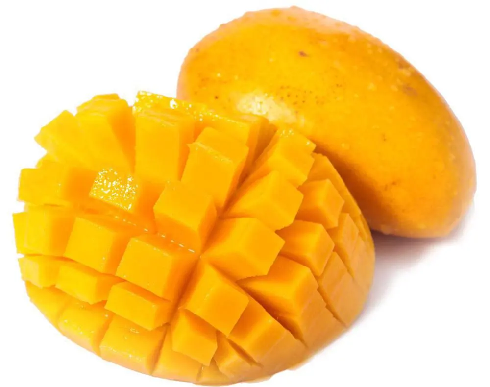aliexpress buy 5pcs bag mango bonsai seeds fruit tree seed mango tree plant for aliexpress buy 5pcs bag mango bonsai seeds fruit tree seed mango tree plant for