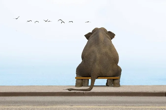 Знаки препинания в предложениях. На том же месте в тот же час фото. Предложение со словом нисколько. Как расставлять знаки препинания. Знаки препинания в предложениях.