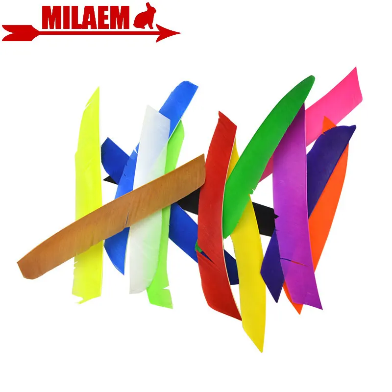 

50pcs Archery Full Length Real Turkey Feather Arrow Feather Fletching Left Wing Hunting Shooting DIY Arrow Accessories
