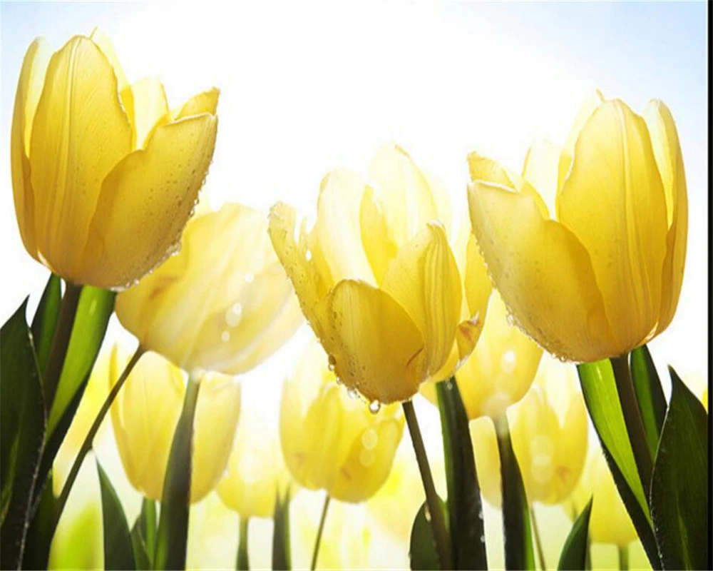 Unduh 990+ Background Bunga Lily Kuning Gratis Terbaik
