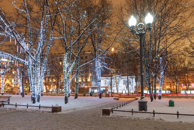 High Spray Decoration Art Beautiful Winter Night Scenery Picture Hight Quality Printed Forest Wall Stickers | Дом и сад