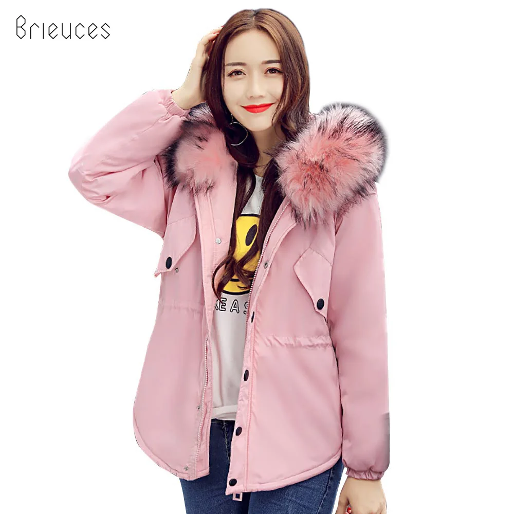 

Brieuces Winter Jacket Women 2018 winter warm coat down cotton jacket women thick artificial fur collar short women jacket