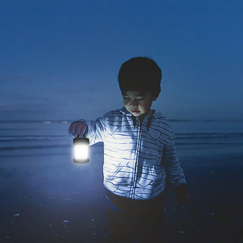 portable lamp (10)