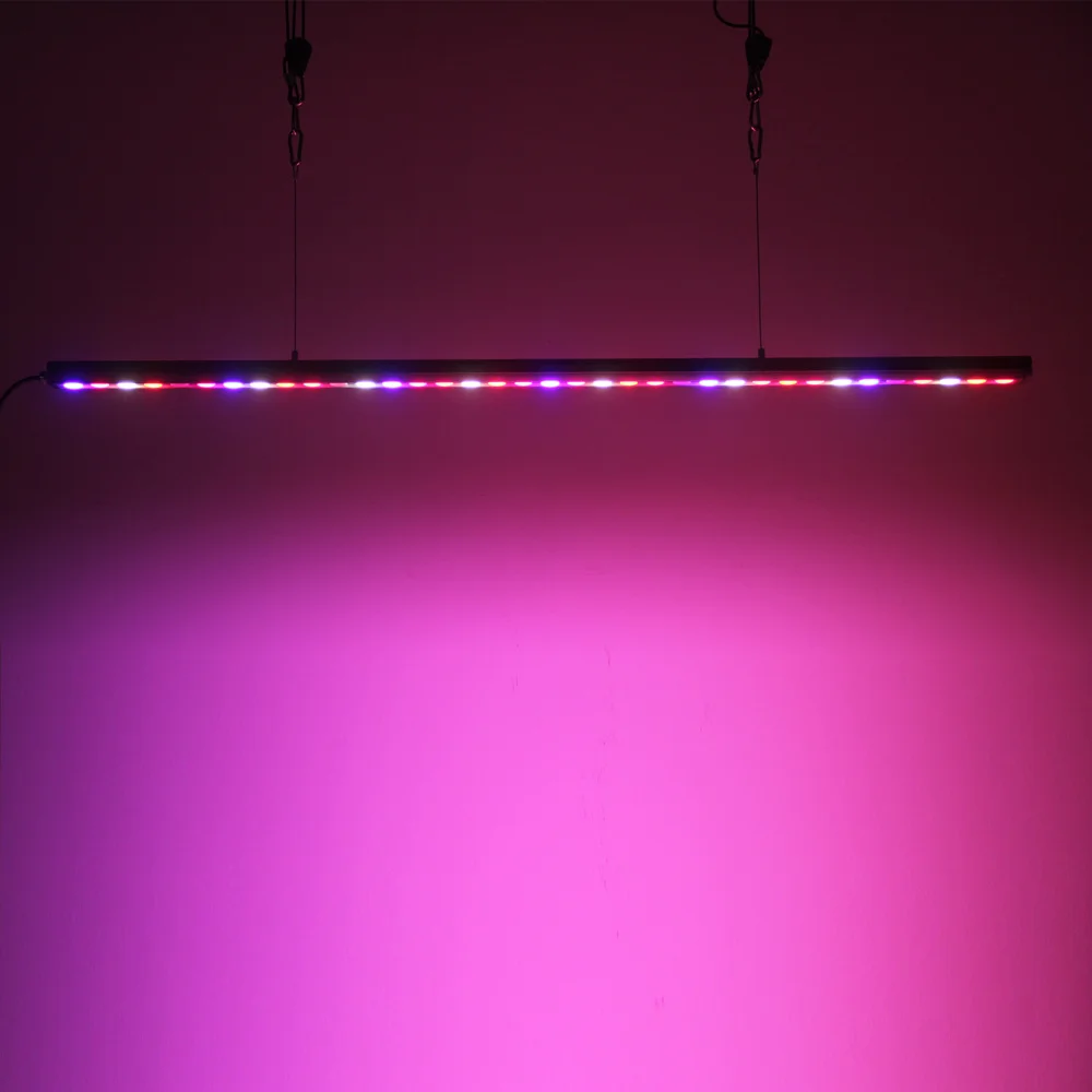 

Hot seller Grow lettuce and microgreens LED Grow Lights CP300 60W power strip and Aquarium Lighting LED Grow Light Strip