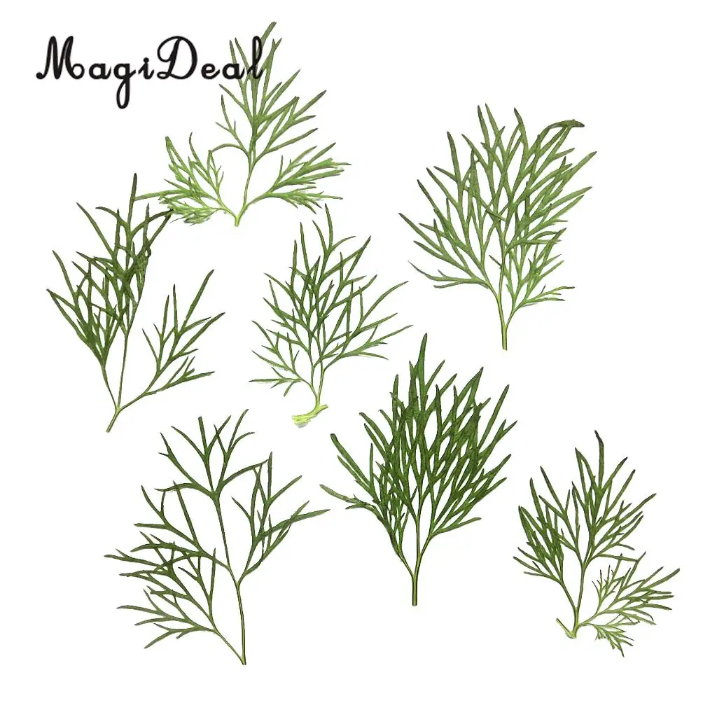 10x Pressed Real Dried Flower Dry Leaves for DIY Crafts Bookmark Card Making	