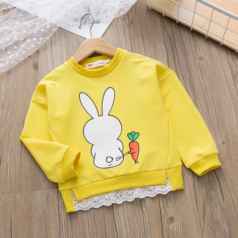 Baby Girl Boy Clothing Hoodie Long-Sleeve Rabit Print Pullover Boys Casual Baby Hoodies