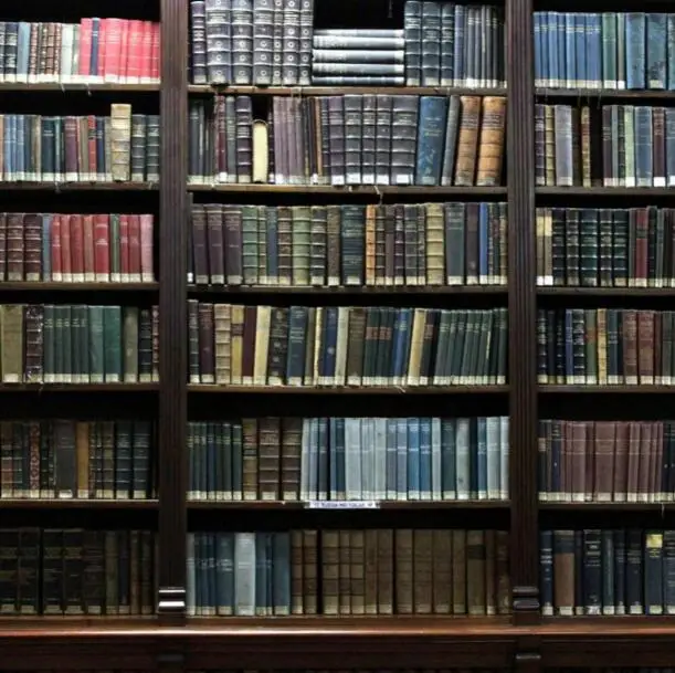 

Vinyl cloth bookshelf photography backdrops for photo studio portrait backgrounds 02