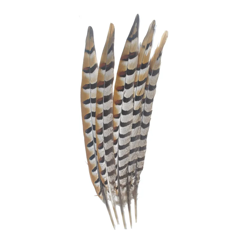 

ZPDECOR 30-35CM 12-14 Inch Natural Reeves Venery Pheasant Tail Feathers For carnival design DIY decor natural feather plume