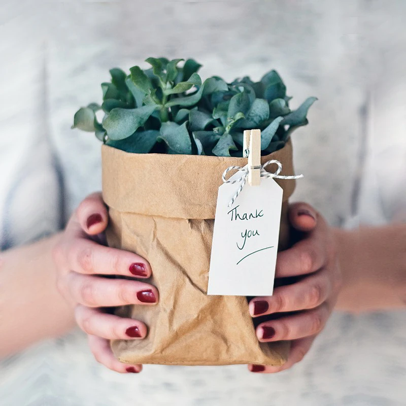 

Plant Pot Coat Kraft Paper Flower Pot Cover Waterproof Multifunctional Basket Cosmetic Bag Reusable For Home Decor Garden Bin