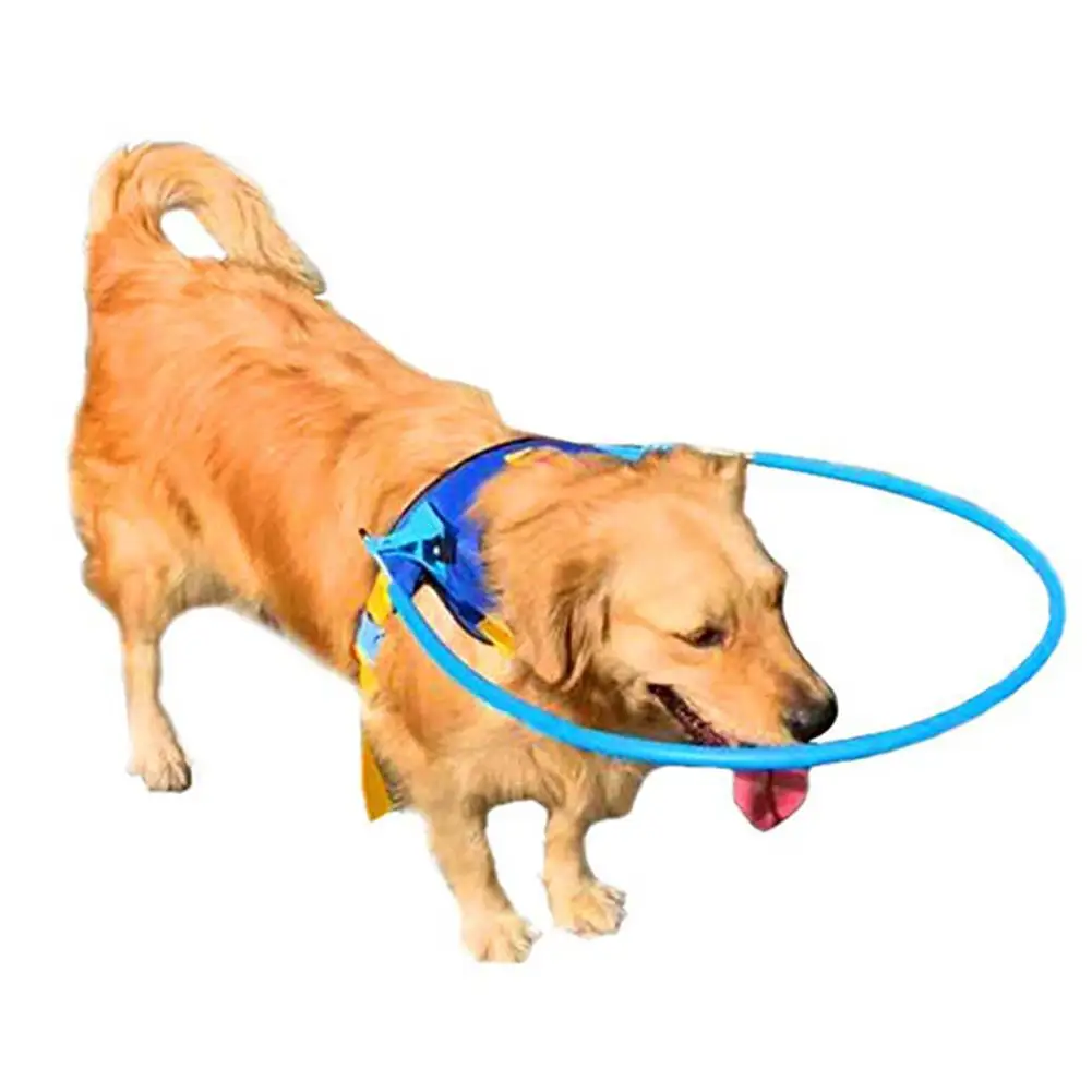 New arrival Blind Pet Anti-collision Ring Scorpion Cataract Animal Protection Circle Dog Harness dog leash for Chihuahua pet dog